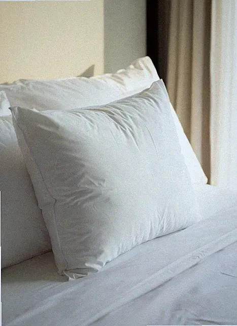 22x22 Goose Down Feather Pillow Insert Luxury Designer Cushion 100% Cotton Shell