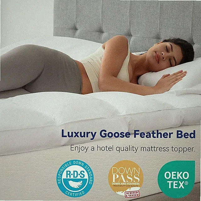 LeWinBedding 3 Inch White Goose Feather Mattress TopperTwin Feather 39x75