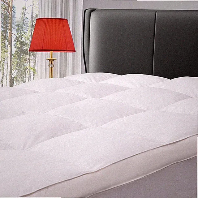 Mattress Topper Queen Size Extra Thick Goose Down Feather Plush ELEMUSE Led