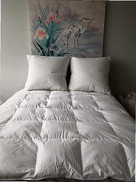 Puradown 80% Goose Down Euro Continental Pillow 80 x80cm Australian Made