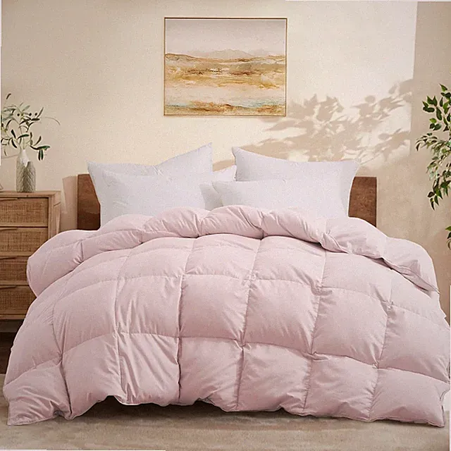 Queen Size down Comforter - All Season Ultra Soft Goose down & Feather Fiber Fil