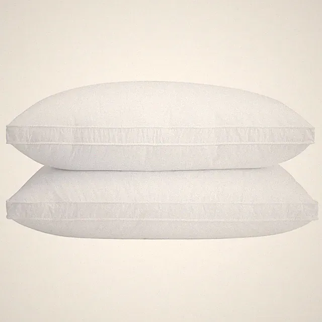 Queen Size Goose Down Pillows Set of 2 - Hypoallergenic Bed Pillows 500 Fill...